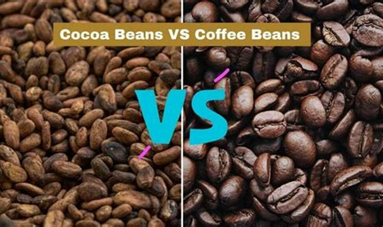 Best Cocoa and Coffee Beans: A Brew-tiful Guide! | The Ultimate Coffee Guide: Types, Brewing Methods & Best Beans