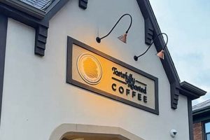 Best Local Coffee Shops in Dayton, OH - Your Guide | The Ultimate Coffee Guide: Types, Brewing Methods & Best Beans