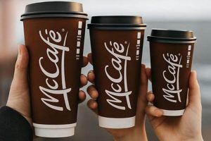 Why Choose Medusa Coffee Maker: Multi-Cup Brews! | The Ultimate Coffee Guide: Types, Brewing Methods & Best Beans