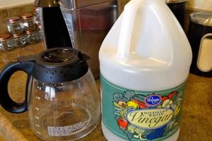 Quick Guide: How to Clean Mold Out of Your Coffee Maker - NOW! | The Ultimate Coffee Guide: Types, Brewing Methods & Best Beans