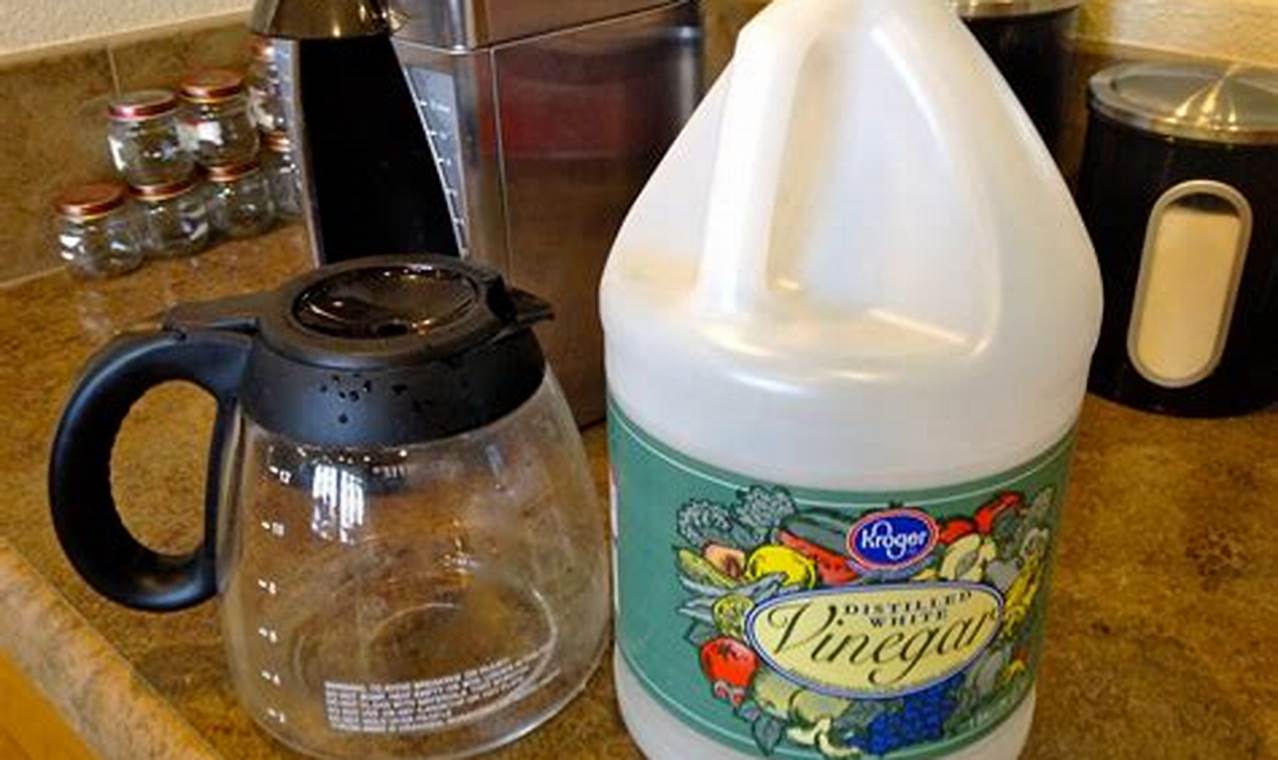 Quick Guide: How to Clean Mold Out of Your Coffee Maker - NOW! | The Ultimate Coffee Guide: Types, Brewing Methods & Best Beans