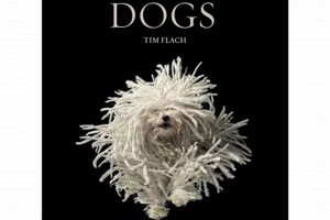 Best Dogs Coffee Table Book Finds! & Displays | The Ultimate Coffee Guide: Types, Brewing Methods & Best Beans