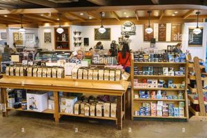 Coffee Shop Freeport Maine | The Ultimate Coffee Guide: Types, Brewing Methods & Best Beans