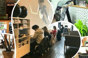 Best Coffee Shops in Joplin, MO: Your Local Guide! | The Ultimate Coffee Guide: Types, Brewing Methods & Best Beans