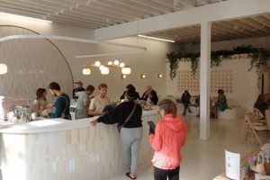 Best Northpark Coffee Shop: Brews & Bites! | The Ultimate Coffee Guide: Types, Brewing Methods & Best Beans