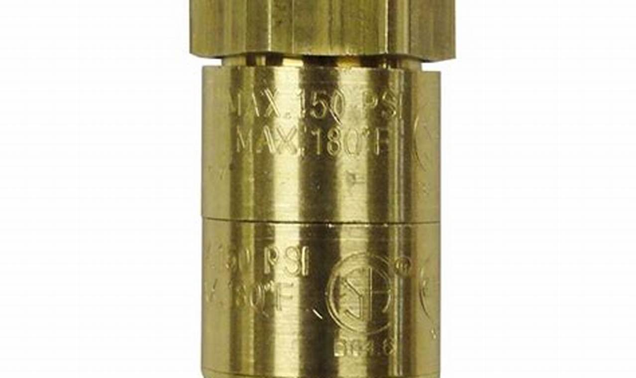 Coffee Maker Backflow Preventer: Essential Guide for Fresh Brews | The Ultimate Coffee Guide: Types, Brewing Methods & Best Beans