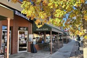 Hot Springs Coffee Shop | The Ultimate Coffee Guide: Types, Brewing Methods & Best Beans