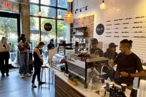 Best Coffee Shops in the Quad Cities: Your Guide | The Ultimate Coffee Guide: Types, Brewing Methods & Best Beans