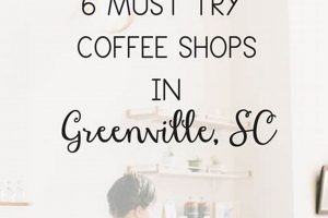 Best Greenville NC Coffee Shops: Find Your Perfect Brew! | The Ultimate Coffee Guide: Types, Brewing Methods & Best Beans