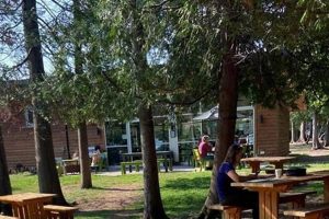 Your Two Harbors Coffee Shop: Brews & Community Spot | The Ultimate Coffee Guide: Types, Brewing Methods & Best Beans