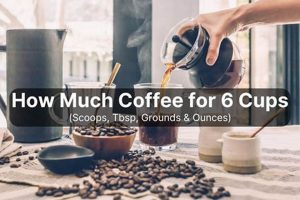 Brew Better: How Much Coffee for 6 Cups? [Guide] | The Ultimate Coffee Guide: Types, Brewing Methods & Best Beans