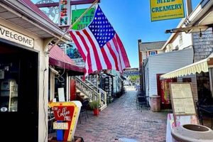 Best Rehoboth Beach Coffee Shops: Your Local Guide | The Ultimate Coffee Guide: Types, Brewing Methods & Best Beans