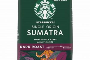 Best Sumatra Dark Roast Coffee Beans: Bold & Earthy | The Ultimate Coffee Guide: Types, Brewing Methods & Best Beans