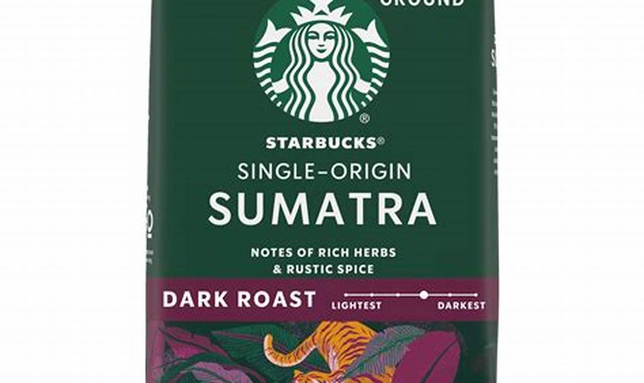 Best Sumatra Dark Roast Coffee Beans: Bold & Earthy | The Ultimate Coffee Guide: Types, Brewing Methods & Best Beans