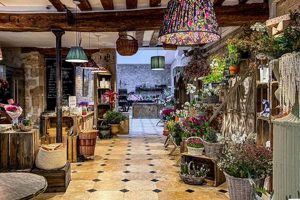 Enjoy Flower Shop Coffee: Blooms & Brews | The Ultimate Coffee Guide: Types, Brewing Methods & Best Beans