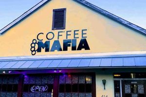 Best Coffee Shops Auburn, AL | Your Local Guide | The Ultimate Coffee Guide: Types, Brewing Methods & Best Beans
