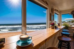 Your Guide: Beach Coffee Shop Bliss Near You! | The Ultimate Coffee Guide: Types, Brewing Methods & Best Beans