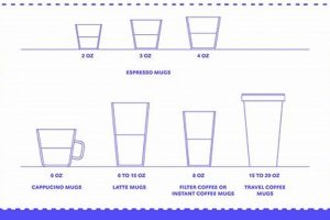 Choosing the Right Size of Coffee Cup: A Complete Guide | The Ultimate Coffee Guide: Types, Brewing Methods & Best Beans