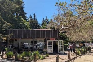 Big Sur Coffee Shop | The Ultimate Coffee Guide: Types, Brewing Methods & Best Beans