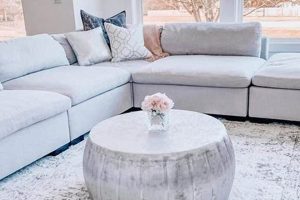 Best Coffee Table Ideas for Your Grey Couch + Decor Tips | The Ultimate Coffee Guide: Types, Brewing Methods & Best Beans