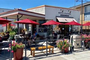 Best Viet Coffee Shops in San Jose: Your Ultimate Guide | The Ultimate Coffee Guide: Types, Brewing Methods & Best Beans