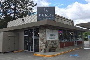 Best Coffee Shops in Coeur d'Alene: Your Local Guide | The Ultimate Coffee Guide: Types, Brewing Methods & Best Beans