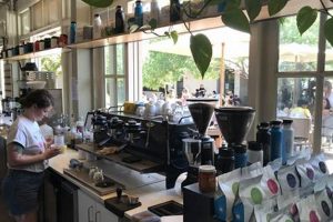 Best Coffee Shops in Tucson: Your Local Guide The Ultimate Coffee Guide: Types, Brewing Methods & Best Beans Best Coffee Shops in Tucson: Your Local Guide | The Ultimate Coffee Guide: Types, Brewing Methods & Best Beans