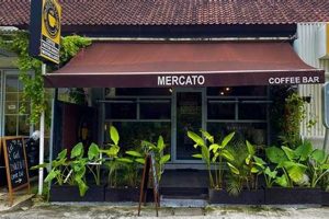 Discover the Best Mercato Coffee Shops Near You! | The Ultimate Coffee Guide: Types, Brewing Methods & Best Beans