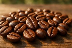 Find the Best Coffee Beans in LA: Your Local Guide | The Ultimate Coffee Guide: Types, Brewing Methods & Best Beans