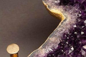 Unique Amethyst Coffee Table: [Style] for [Space] | The Ultimate Coffee Guide: Types, Brewing Methods & Best Beans