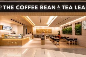 Unlock Your Dream: Coffee Bean Tea Leaf Franchise Guide | The Ultimate Coffee Guide: Types, Brewing Methods & Best Beans