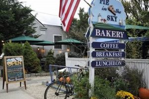 Your Guide to Cape Cod Coffee Shops: Best Local Cafes | The Ultimate Coffee Guide: Types, Brewing Methods & Best Beans