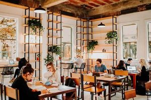 Top-Rated Coffee Shops to Study Near You [Year] | The Ultimate Coffee Guide: Types, Brewing Methods & Best Beans