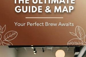 Best Coffee Shops in Logan, UT: Your Local Guide | The Ultimate Coffee Guide: Types, Brewing Methods & Best Beans