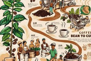 Unveiling Coffee Market Dynamics from Bean to Cup: Trends & Insights | The Ultimate Coffee Guide: Types, Brewing Methods & Best Beans