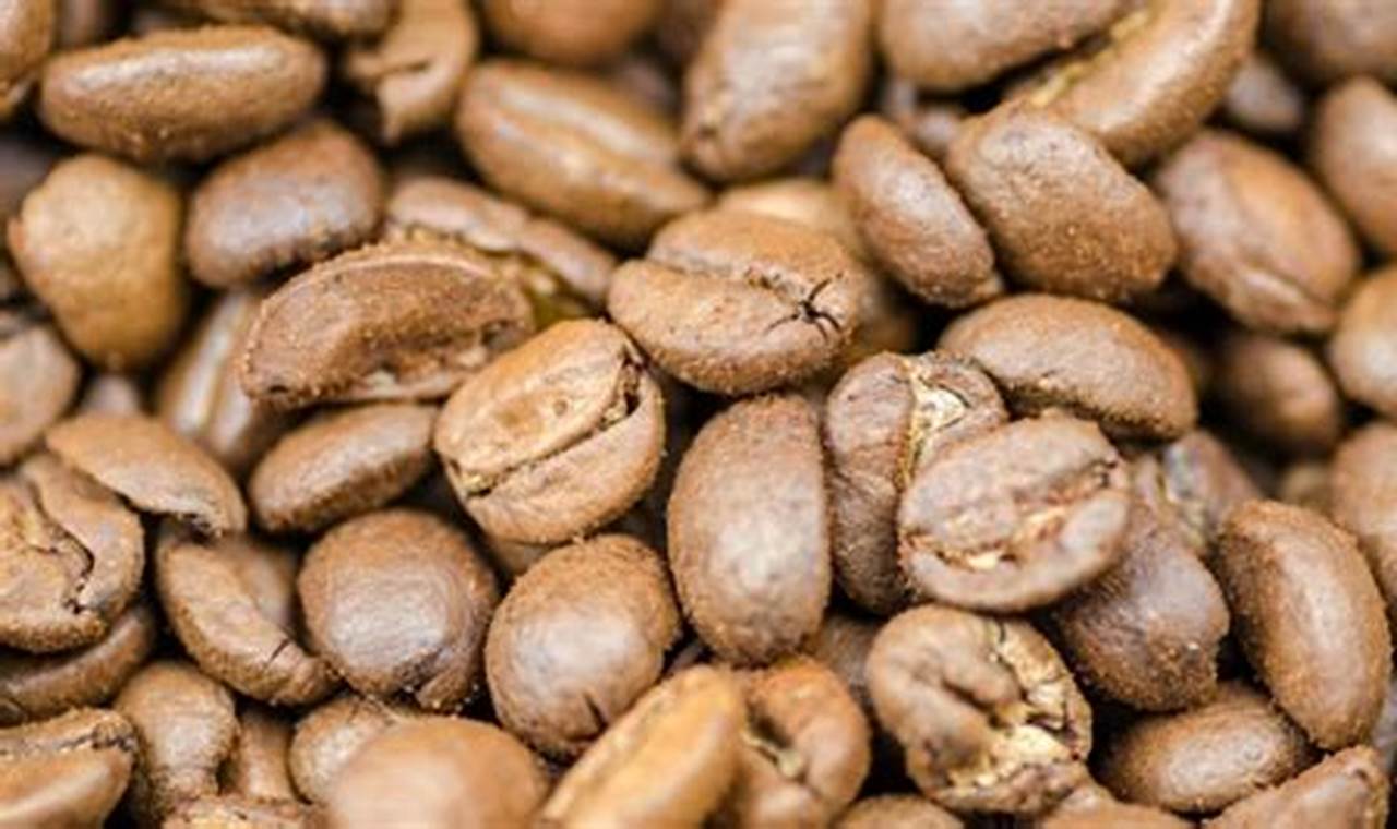 Blonde Roast Coffee Beans | The Ultimate Coffee Guide: Types, Brewing Methods & Best Beans