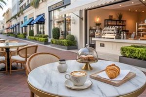 Best Coffee Shops in Palm Beach Gardens: Your Ultimate Guide | The Ultimate Coffee Guide: Types, Brewing Methods & Best Beans