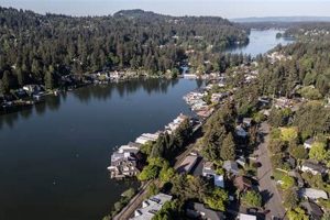 Best Coffee Shops in Lake Oswego, OR: Your Local Guide | The Ultimate Coffee Guide: Types, Brewing Methods & Best Beans