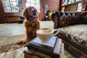 Best Dog Friendly Coffee Shop Near You + Tips! | The Ultimate Coffee Guide: Types, Brewing Methods & Best Beans