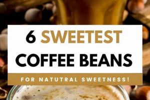 Naturally Sweet Coffee Beans: Find Your Perfect Brew! | The Ultimate Coffee Guide: Types, Brewing Methods & Best Beans