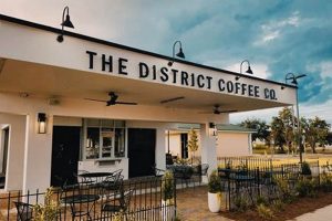 Coffee Shop University District | The Ultimate Coffee Guide: Types, Brewing Methods & Best Beans